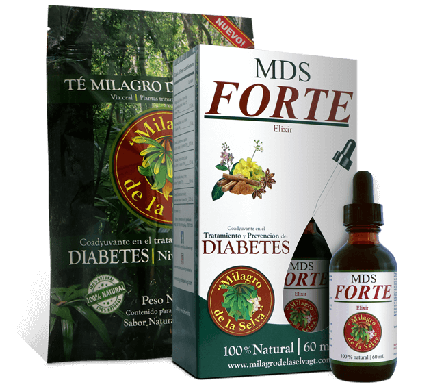 Milagro de la Selva MS-Forte